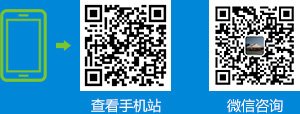 能够完成全网担保网的建模